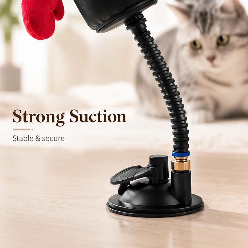 Cat Boxing Toy Set
