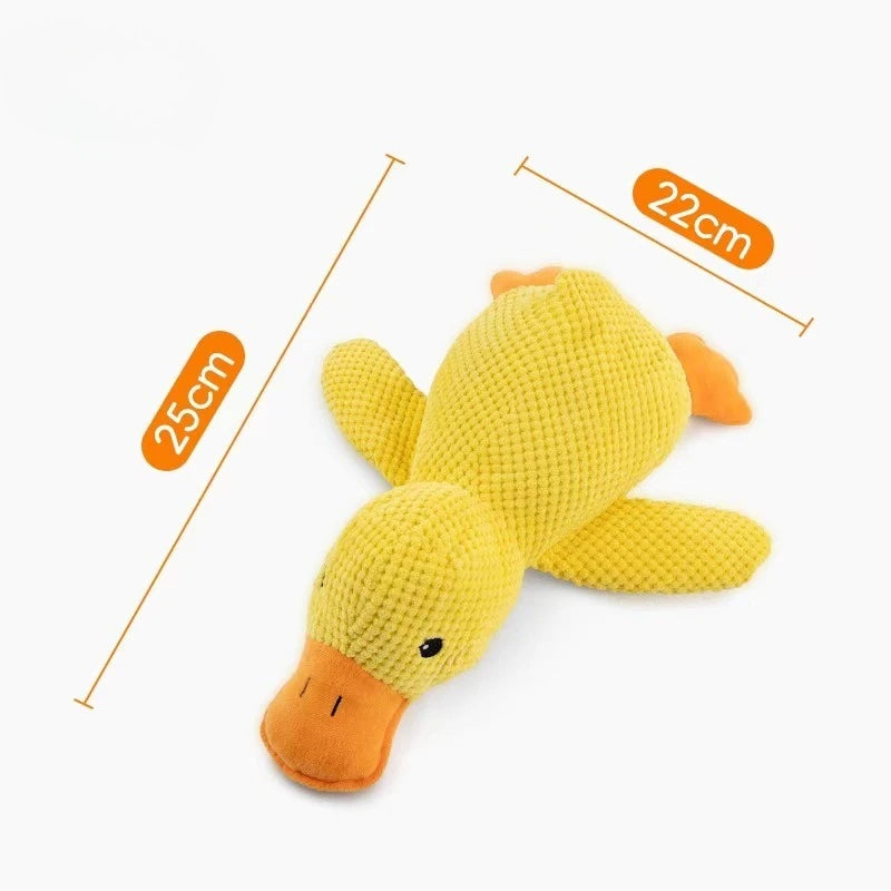 Plush Squeaky Chew Toy, Blue or Yellow