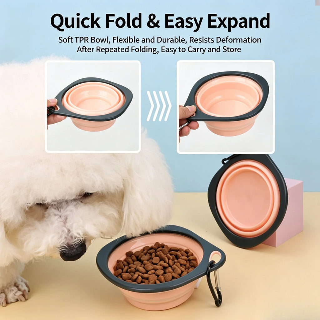 Collapsible Travel Pet Bowl
