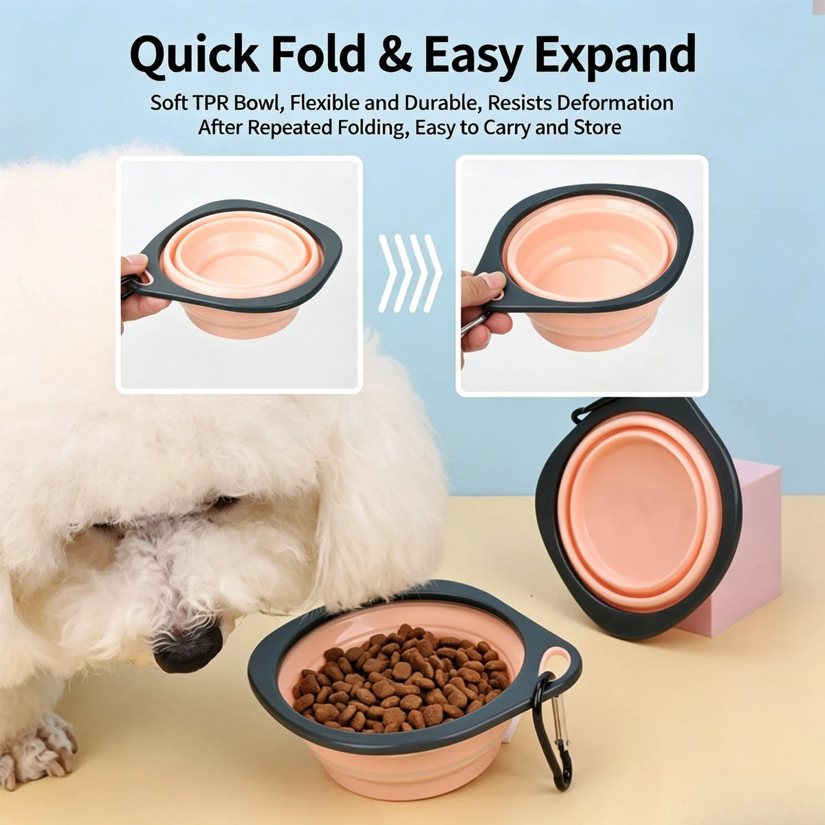 Collapsible Travel Pet Bowl