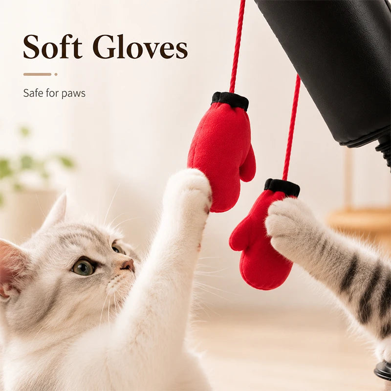 Cat Boxing Toy Set