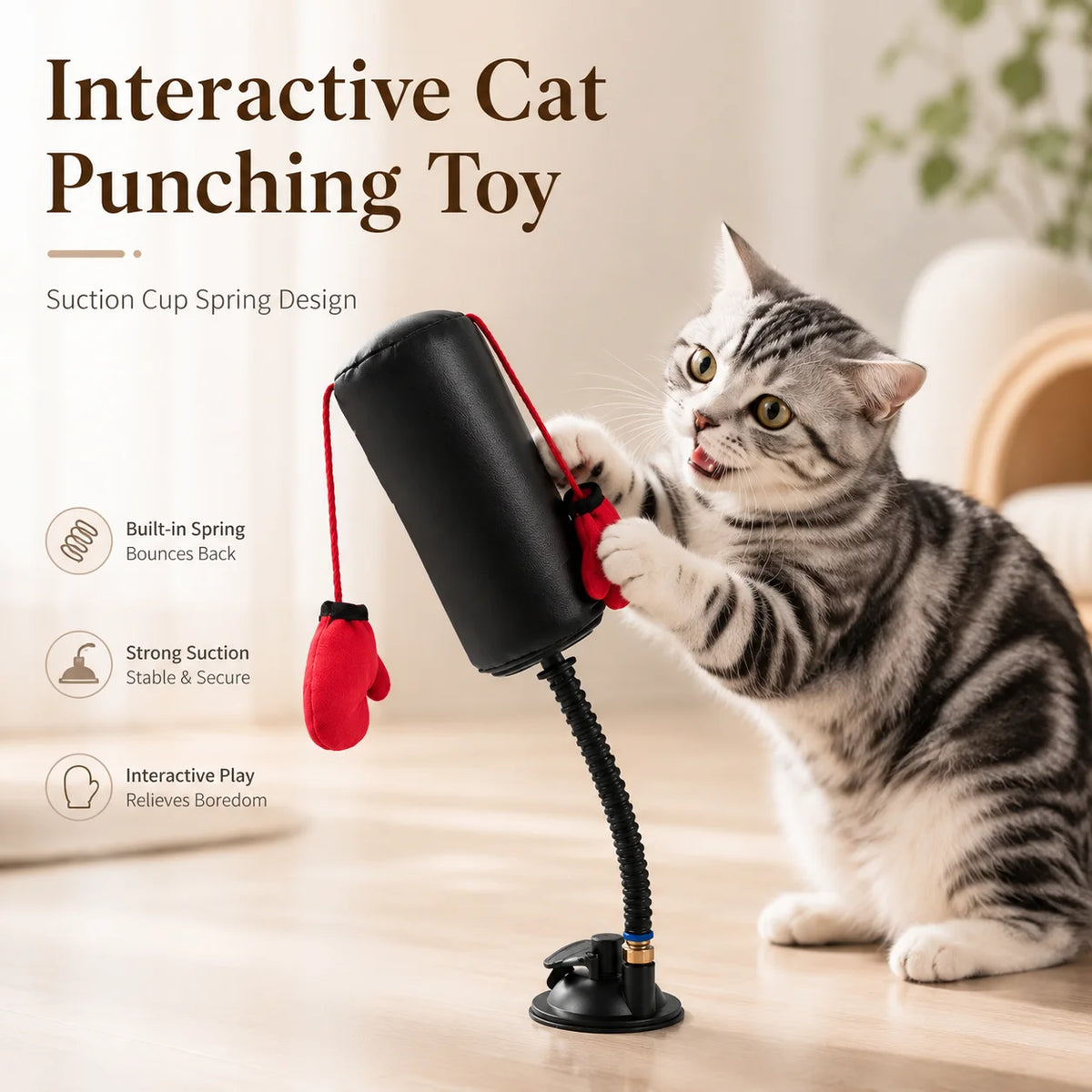 Cat Boxing Interactive Toy