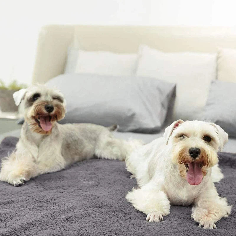 Pet Blanket