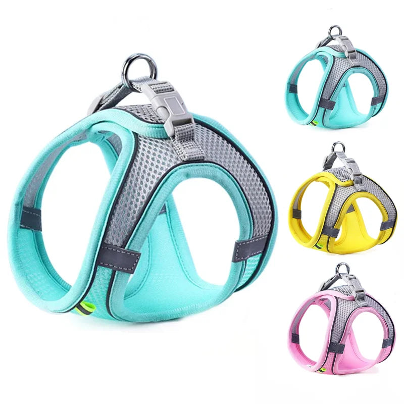 Cat and Dog Harness Vest with Leash