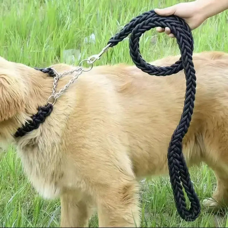 Braided Dog Leash, Black or Army Green