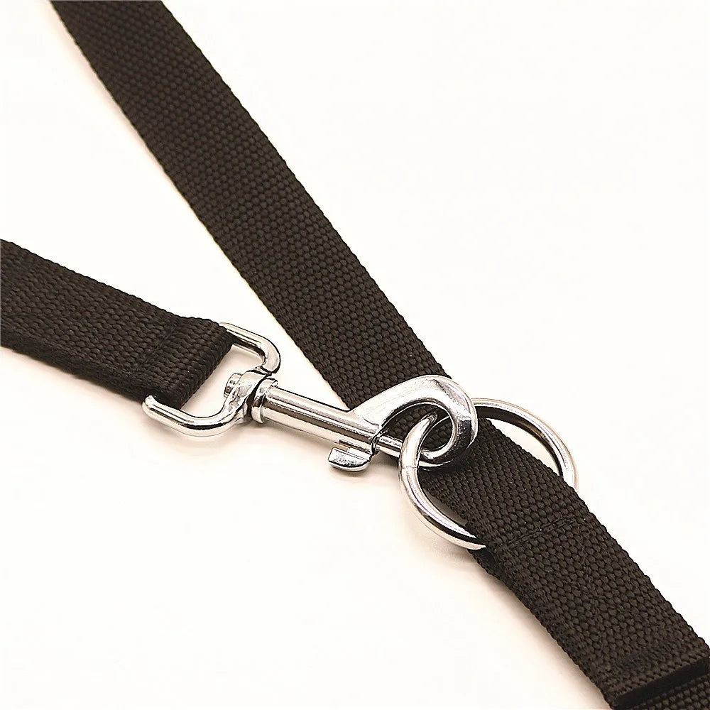 Double-Ended Chain Dog Leash, 2.5M