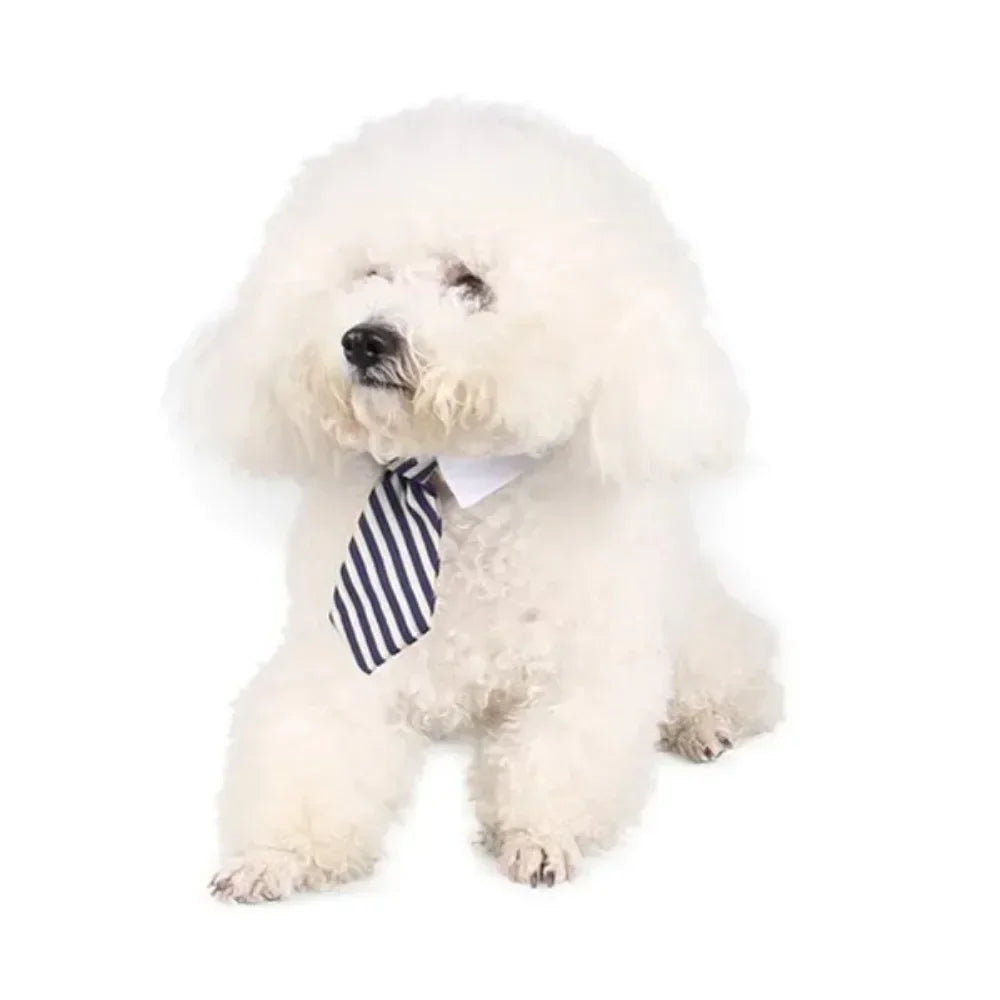 Adjustable Pet Bow Tie