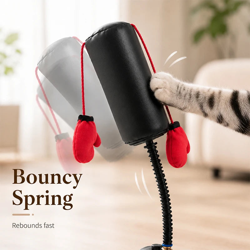 Cat Boxing Toy Set