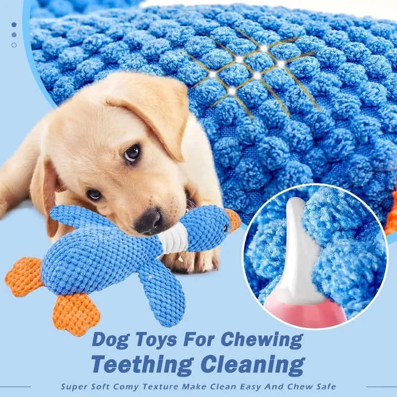 Plush Squeaky Chew Toy, Blue or Yellow