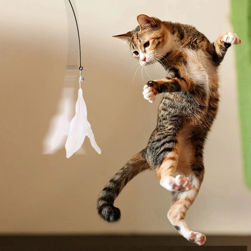 Cat Teaser Wand with Bell and Feather