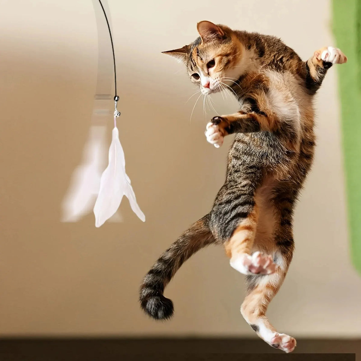 Cat Teaser Wand with Bell and Feather