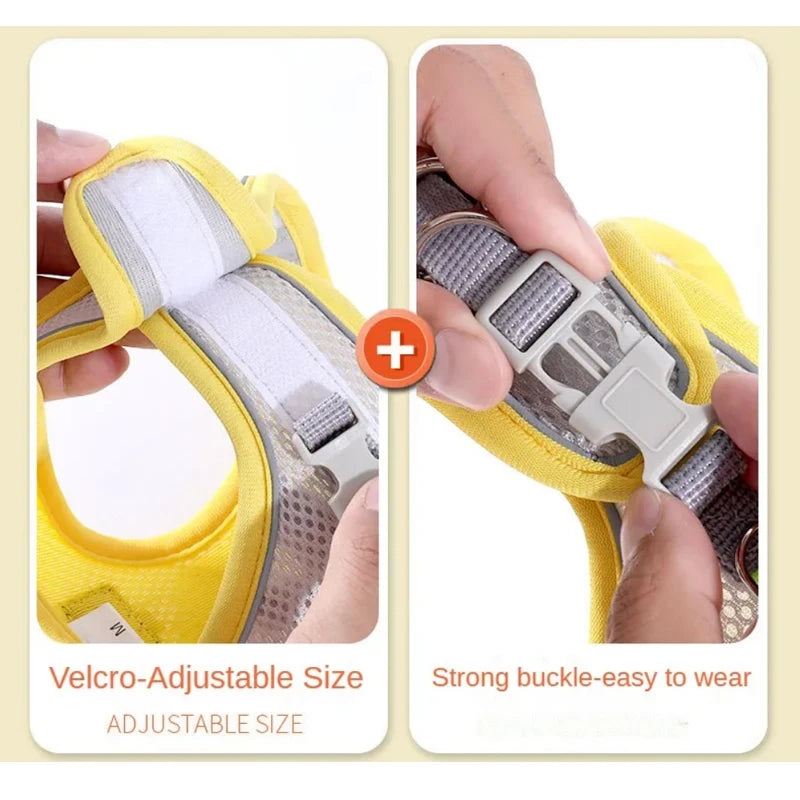 Cat and Dog Harness Vest with Leash