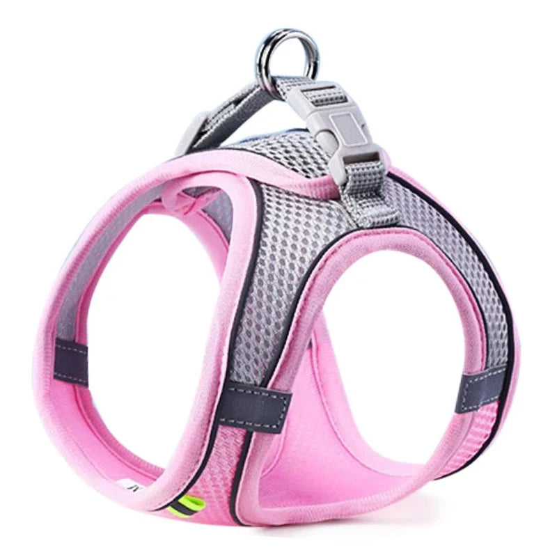 Cat and Dog Harness Vest with Leash