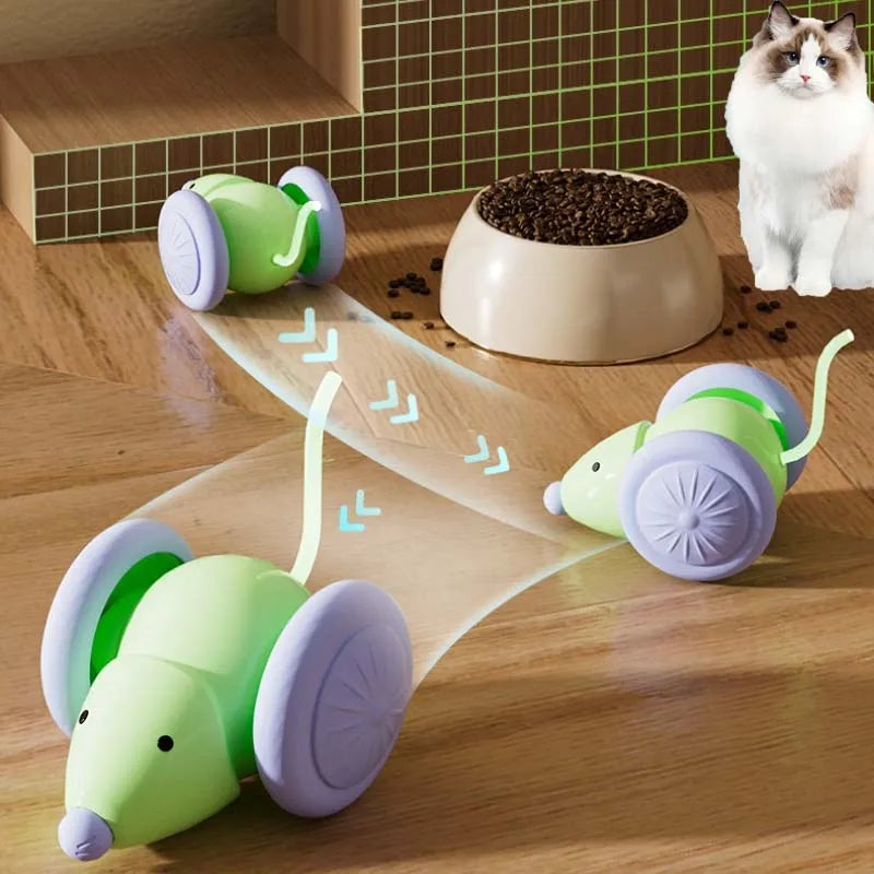 Electric Mouse Cat Teaser Toy