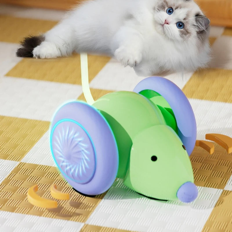 Electric Mouse Cat Teaser Toy