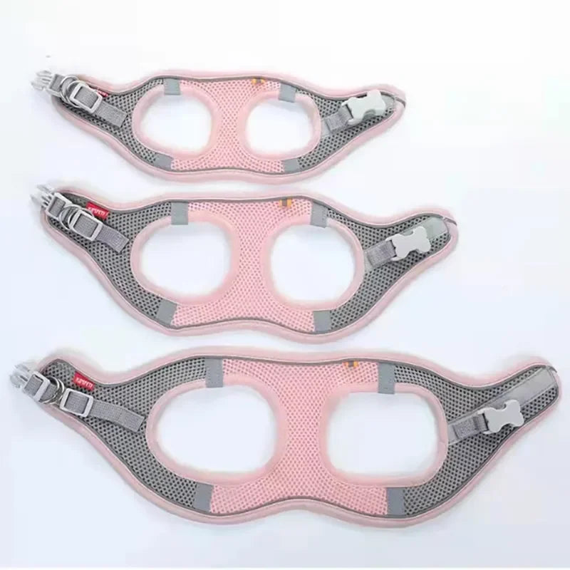 Cat and Dog Harness Vest with Leash