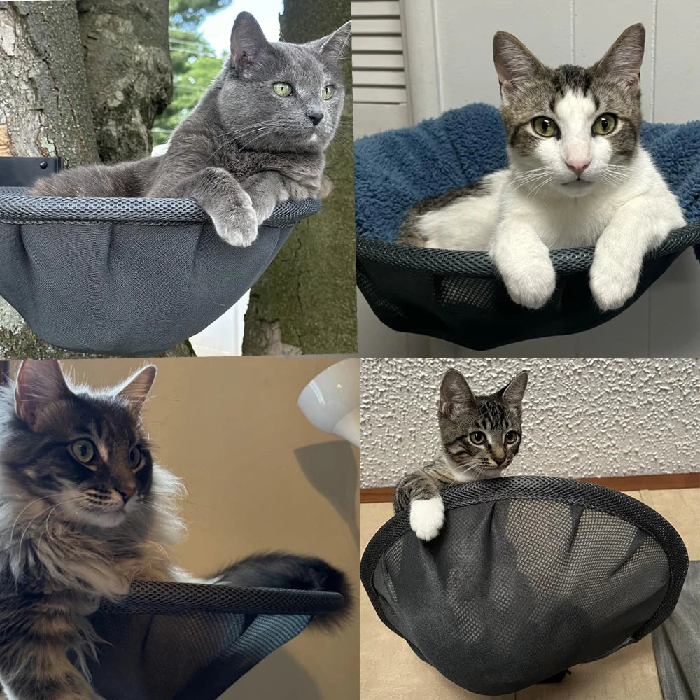 Wall-Mounted Cat Hammock