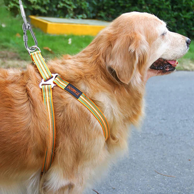 Double-Headed Dog Tie-Out Cable