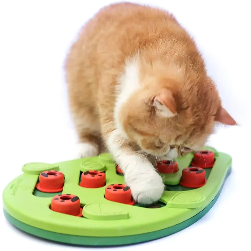 Cat Treat Puzzle Toy