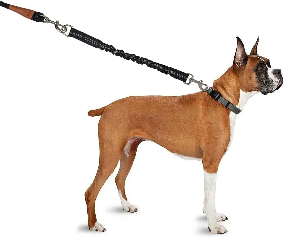 Adjustable Dog Leash Extension