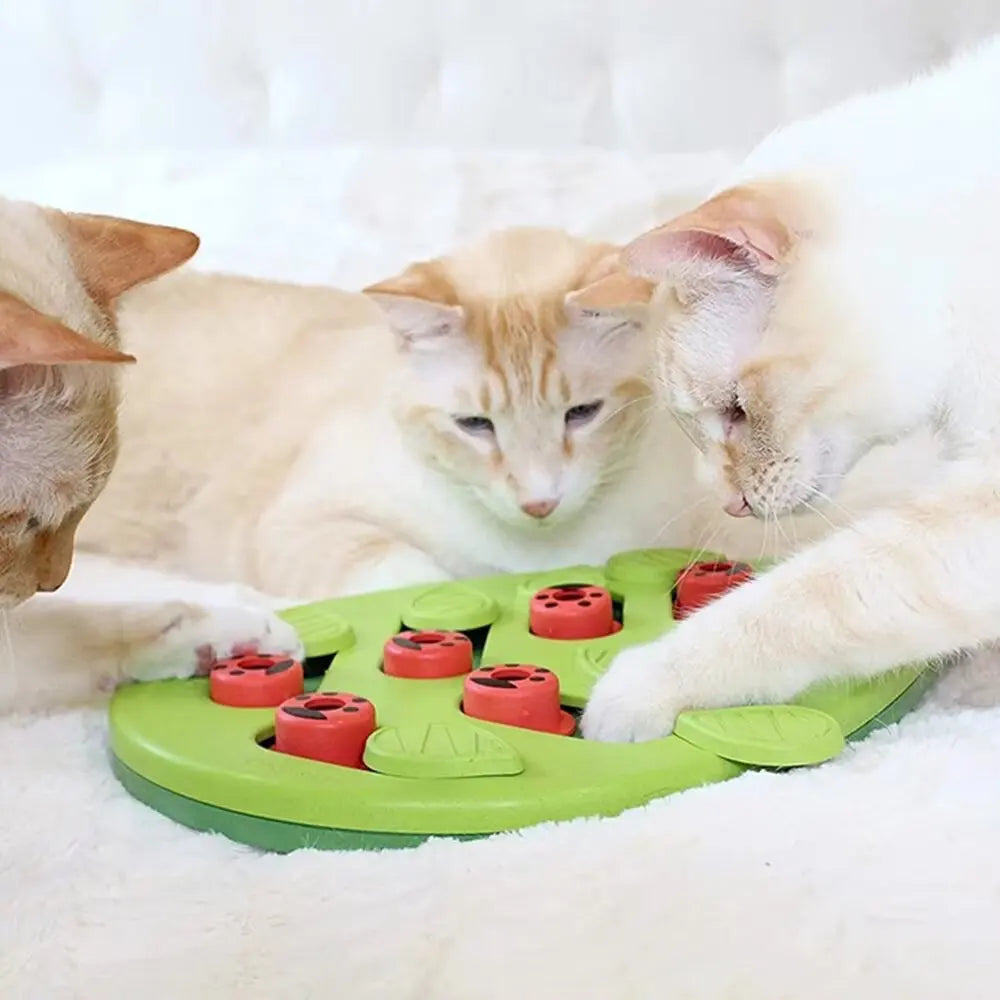 Cat Treat Puzzle Toy