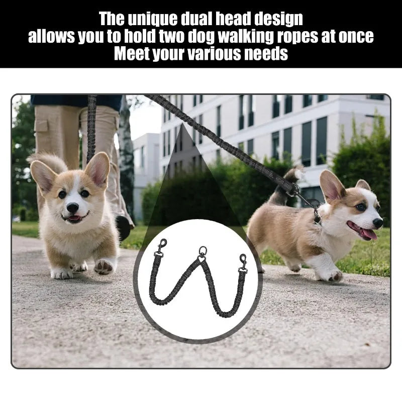 Double-Ended Elastic Dog Leash