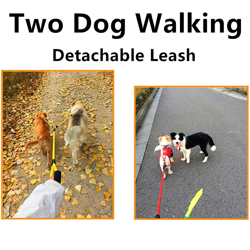Double Dog Leash for Two Dogs