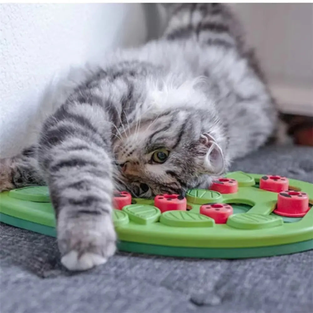 Cat Treat Puzzle Toy