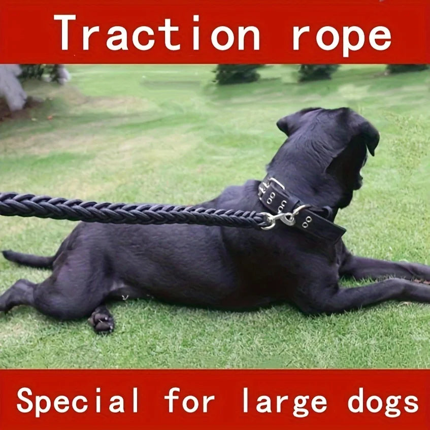 Braided Dog Walking Leash, Sizes L to XXL
