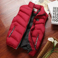 Men's Puffer Vest