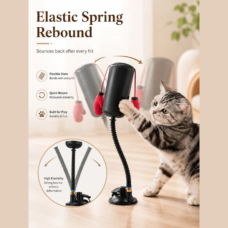 Cat Boxing Toy Set