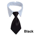 Adjustable Pet Bow Tie