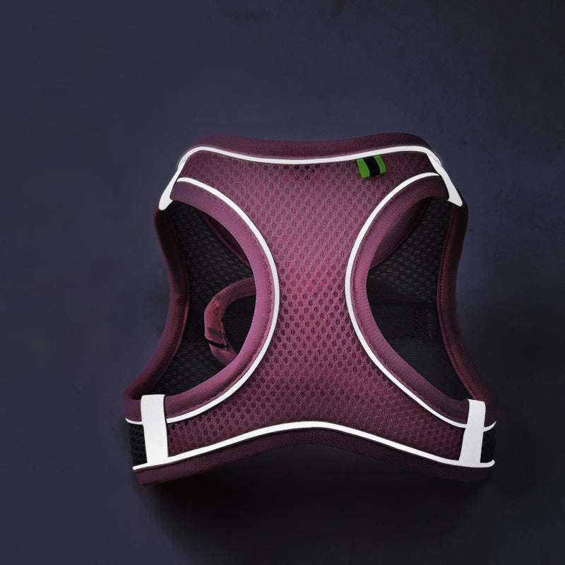 Cat and Dog Harness Vest with Leash