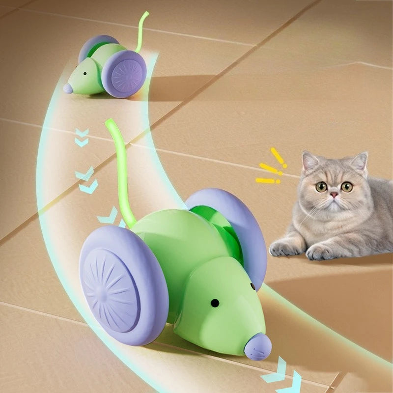 Electric Mouse Cat Teaser Toy