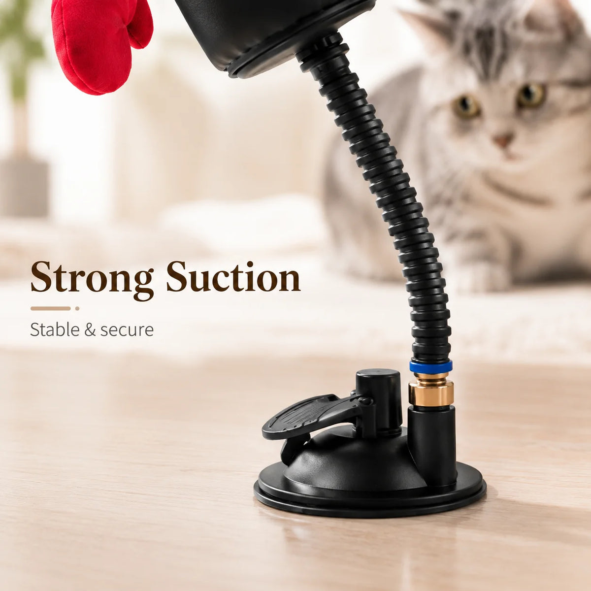 Cat Boxing Interactive Toy