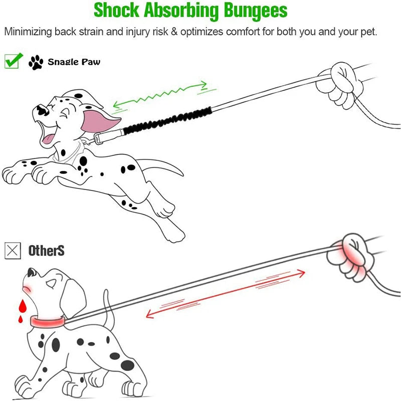 Adjustable Dog Leash Extension