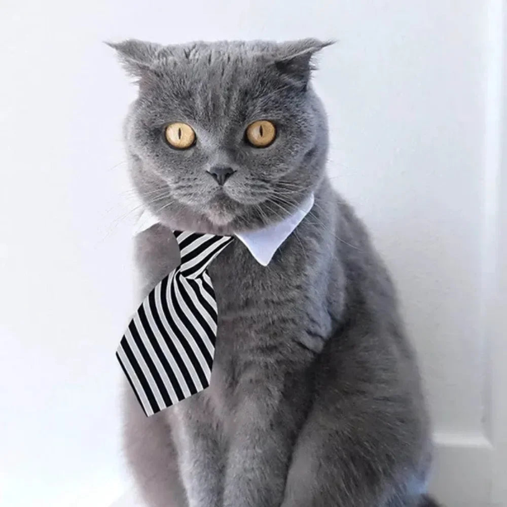Adjustable Pet Bow Tie