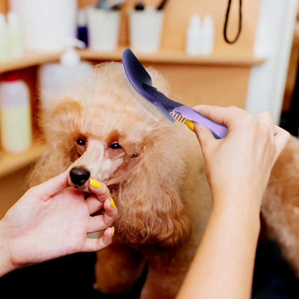 Dog Grooming Brush