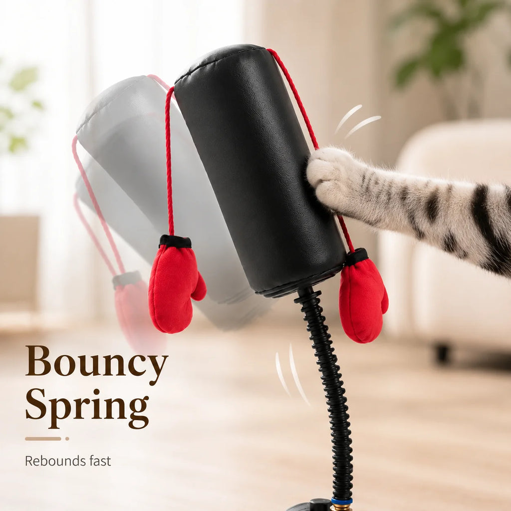 Cat Boxing Interactive Toy