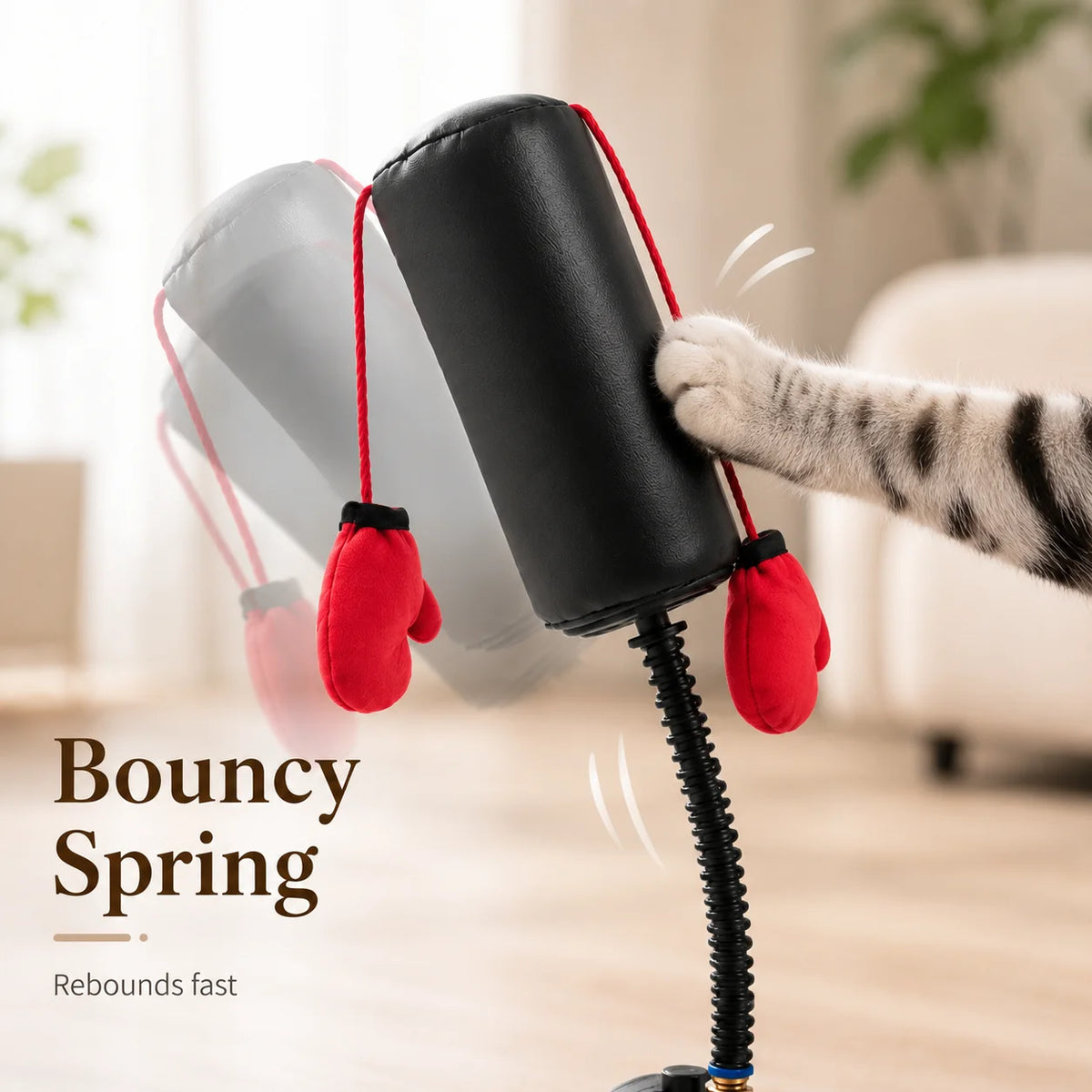 Cat Boxing Interactive Toy